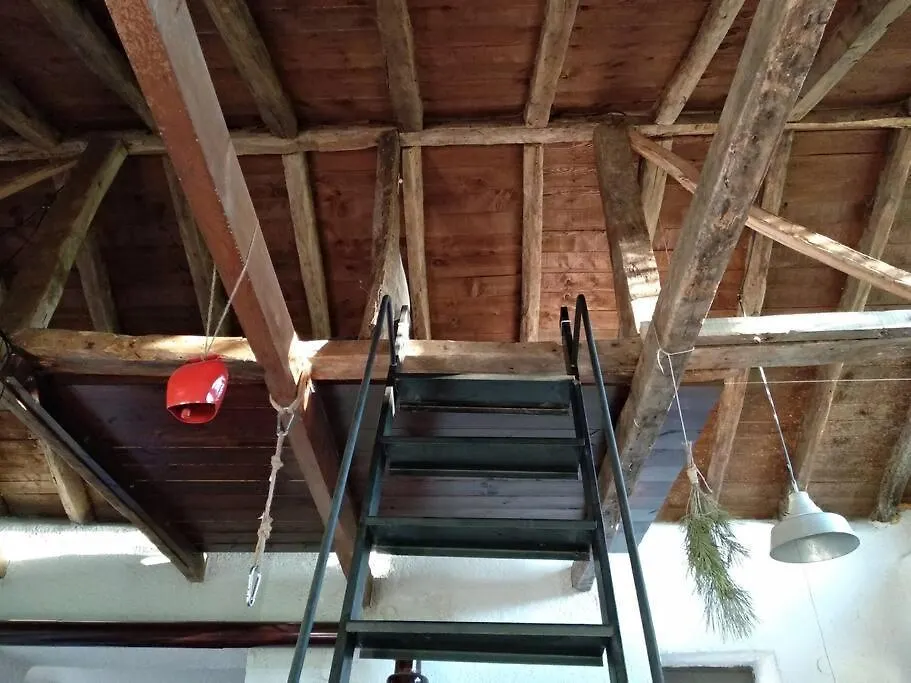 Dendrocopos Medius Villa Arnaia