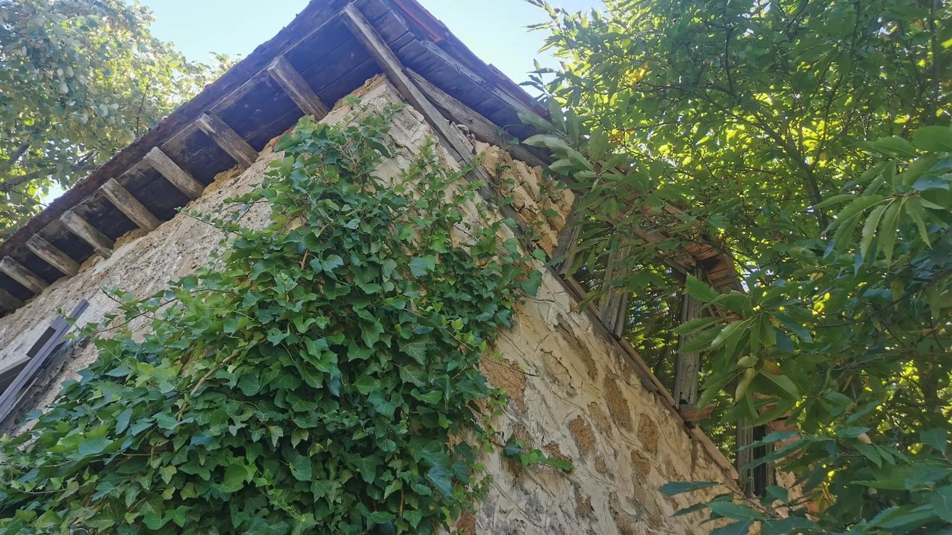 Dendrocopos Medius Villa Arnaia